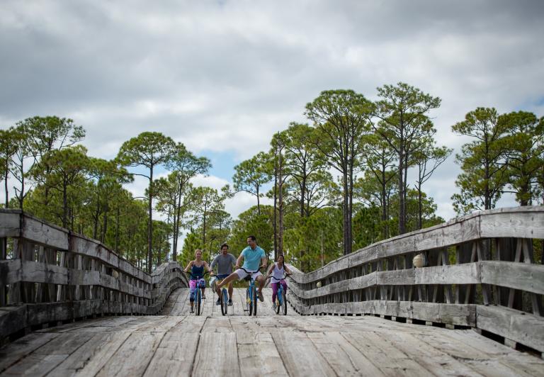 Group of people biking