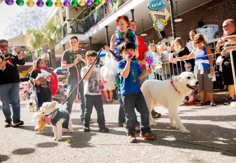 mardi gras parade destin 2025