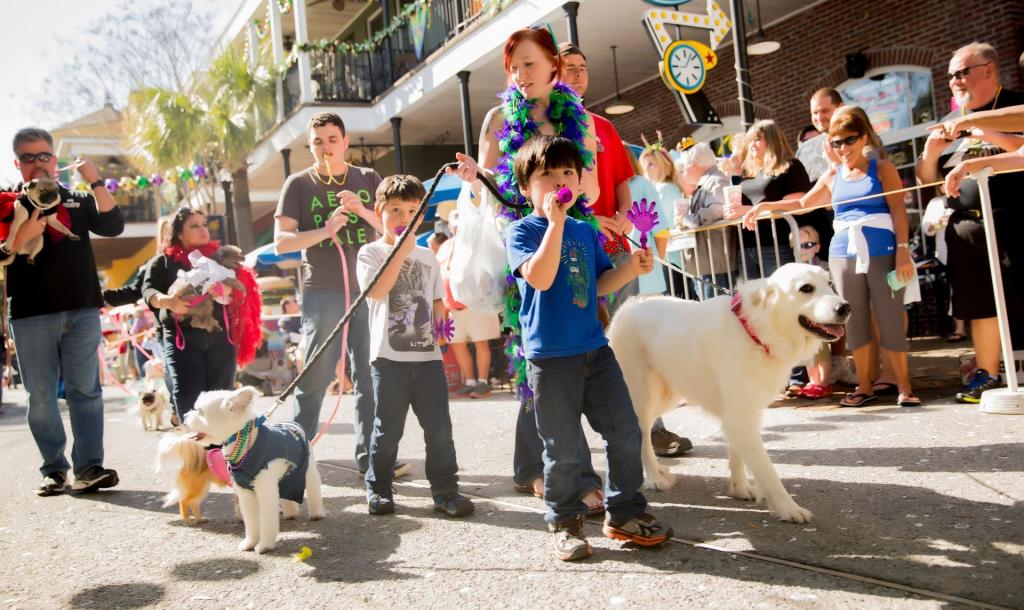 Mardi Gras Parade