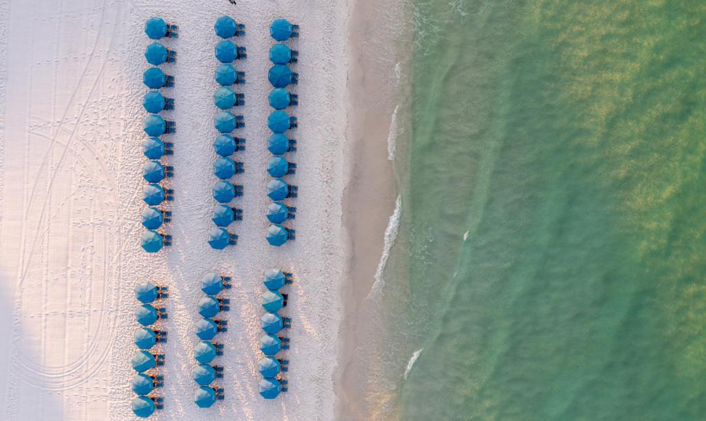 Beach Chair Rentals